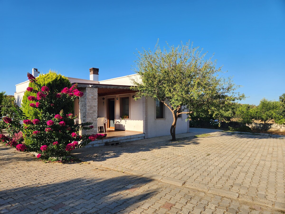 A serene exterior of a house is showcased, featuring blooming bougainvillea and well-maintained greenery. A shaded porch with seating is visible beneath a large tree, providing a welcoming entryway. A spacious paved area surrounds the home, contributing to an inviting outdoor space.