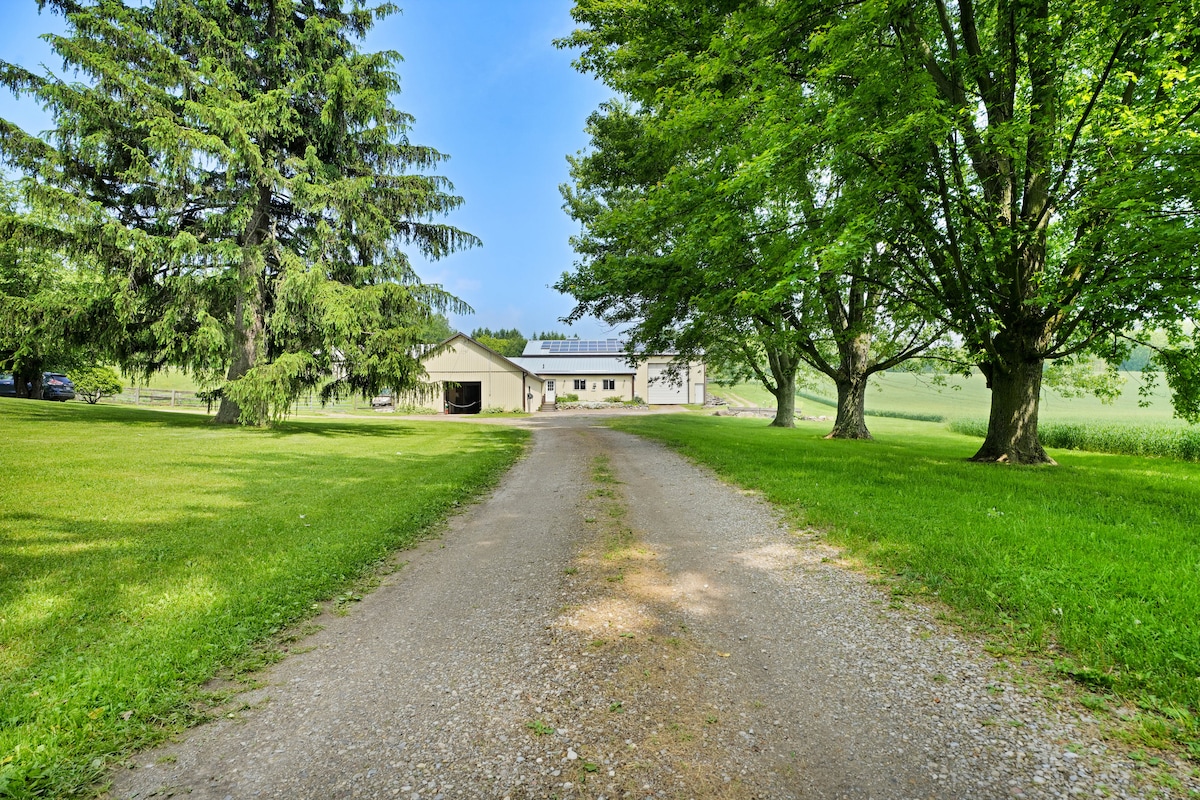 A gravel driveway leads through a lush green lawn, flanked by tall trees. A spacious building, styled in a light color, is set against a clear blue sky, creating a serene rural atmosphere. The surrounding landscape hints at the expansive countryside.