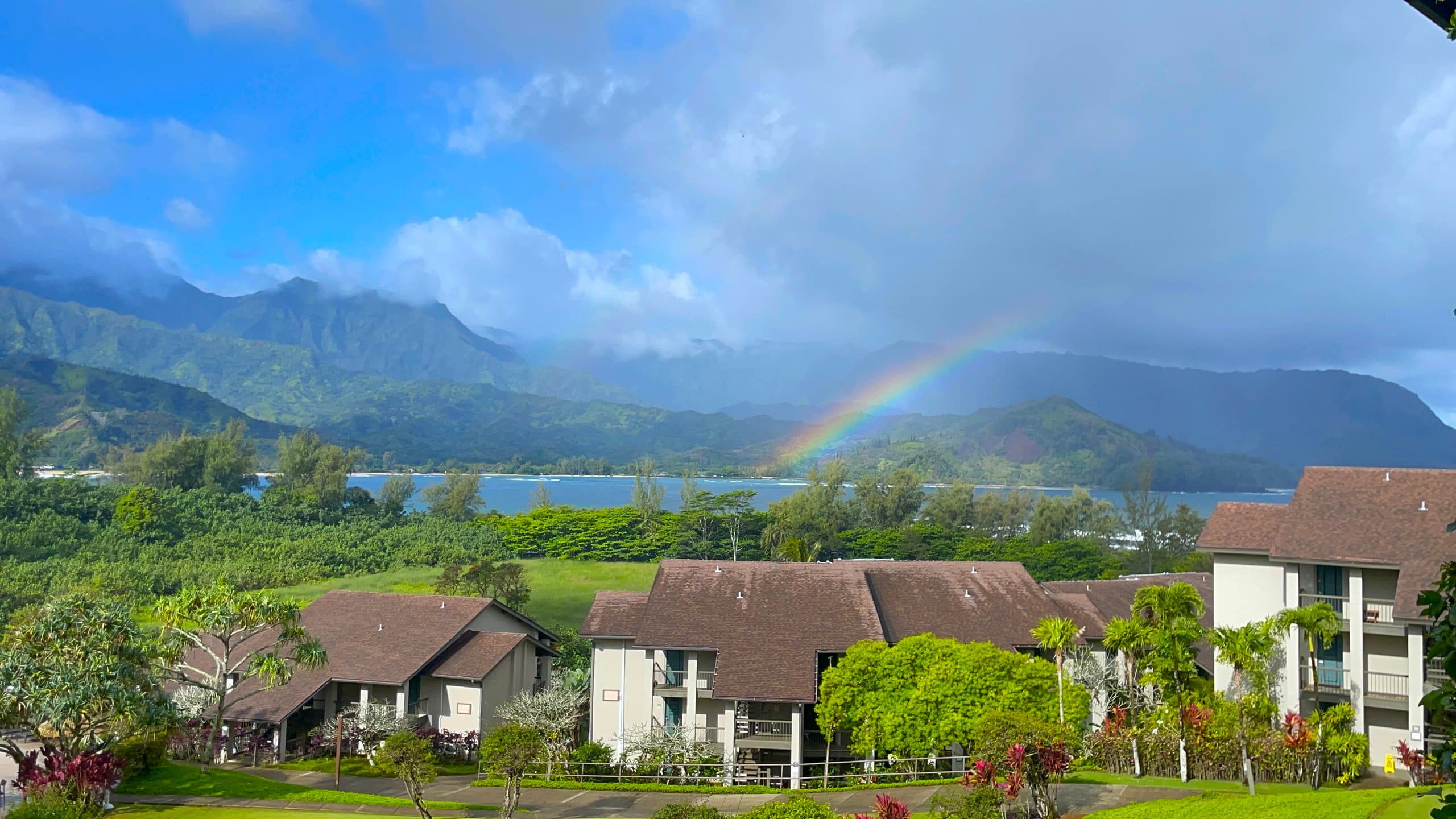 Condo in Princeville · ★4.96 · 2 bedrooms · 4 beds · 2 baths - Image 37