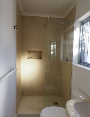 Birds of paradise gallery image 5