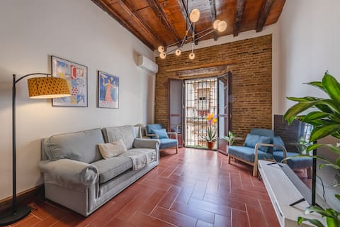 Successful Airbnb property: A charming apartment in the center in Sevilla