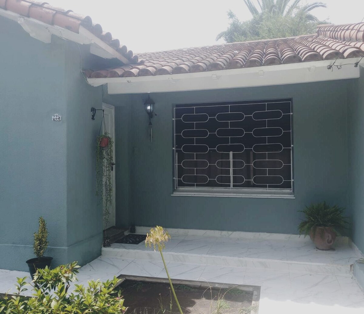 The entrance features a modern design with a tile floor and decorative plants in pots. A large window with a protective grille allows natural light into the space. The roof is tiled, and greenery is visible in the surrounding area, enhancing the welcoming exterior.