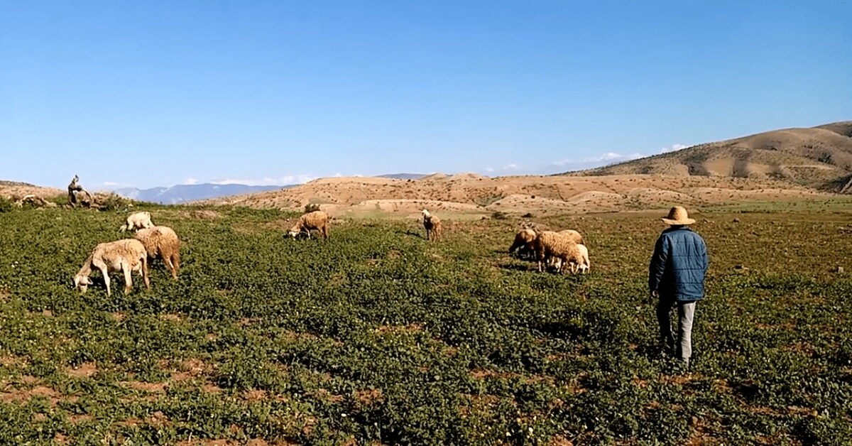 Earthen home in Casablanca  2 bedrooms  2 beds  2 baths - image 4