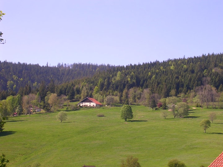 Chez Yvonne 12 Couchages - Vosges
