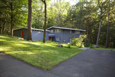 Mid-Century Modern in Historic Lexington