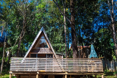 Beautiful Chalet in Monkey