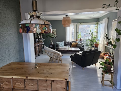 cozy city house