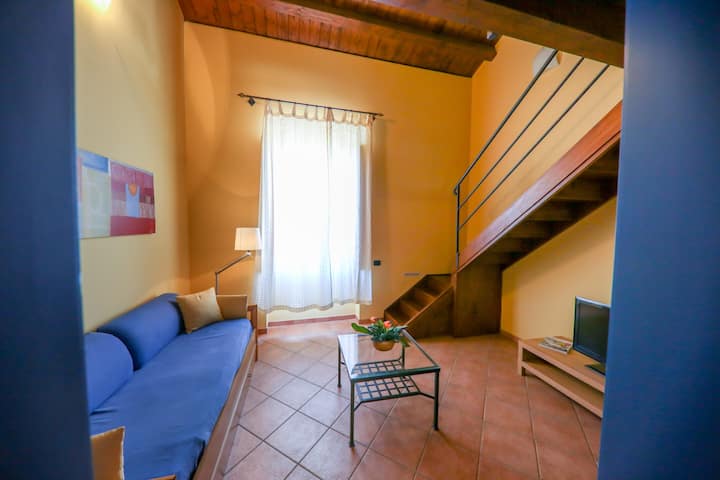 סלון עם ספה נפתחת