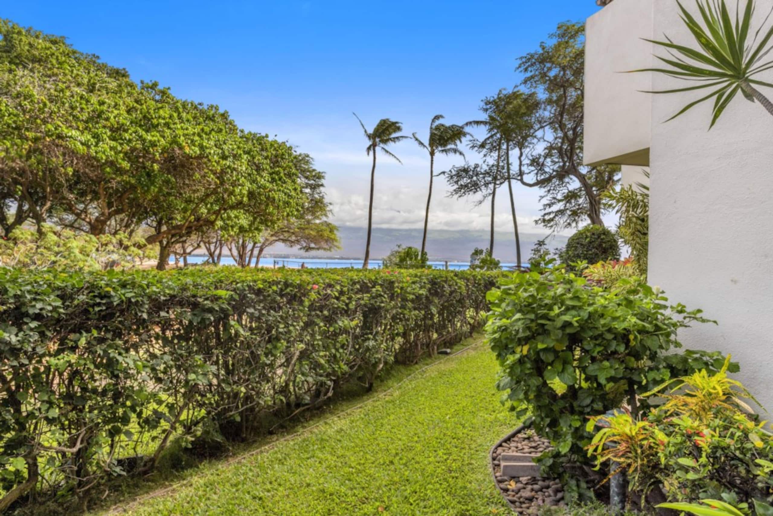 Condo in Wailuku · ★4.94 · 1 bedroom · 1 bed · 1 private bath - Image 28