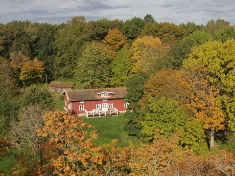 + Cozy house, 7 bedrooms, 7 bathrooms +