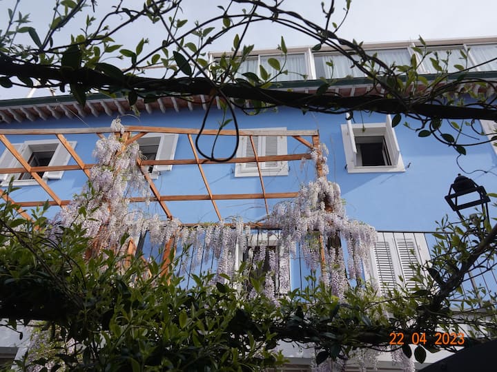 Ostro- 2 Camere-soggiorno - Capraia Isola