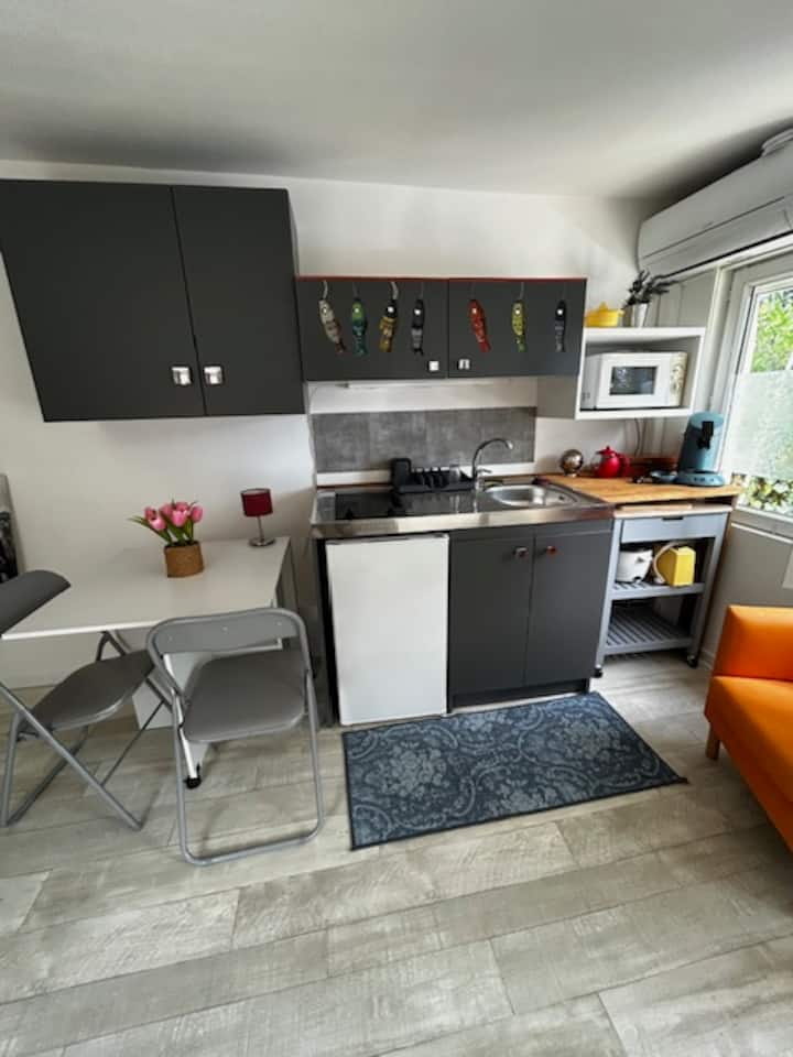 Studio Indépendant Proche Hopitaux Faculté - Castelnau-le-Lez
