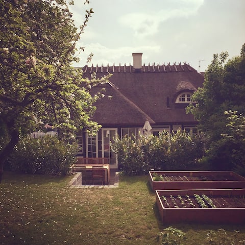 Idyllic house near the water
