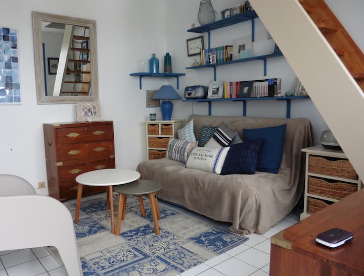 Appartement Duplex Vue Sur Mer - Ploemel