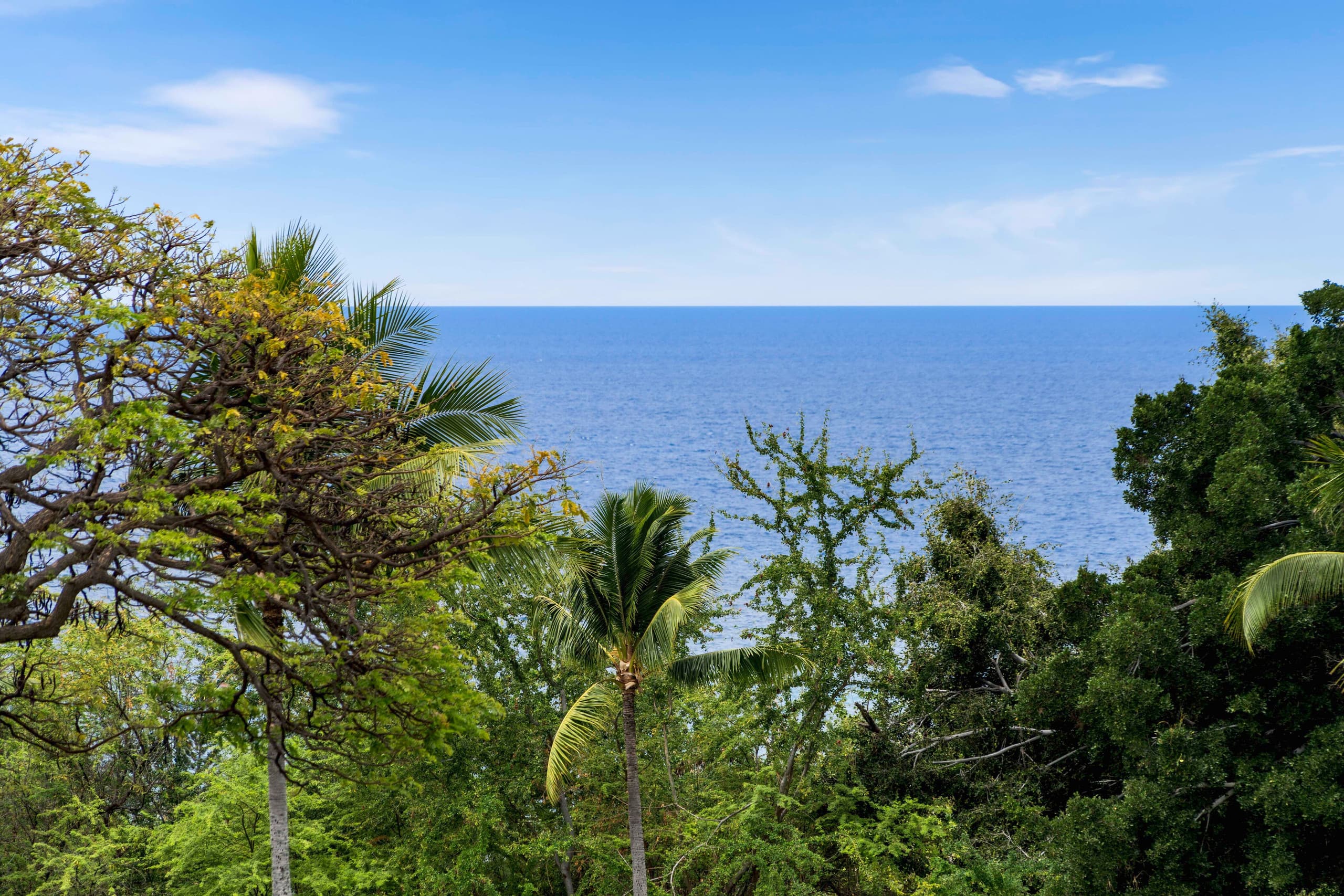 Condo in Kailua-Kona · ★4.92 · 2 bedrooms · 2 shared baths - Image 34