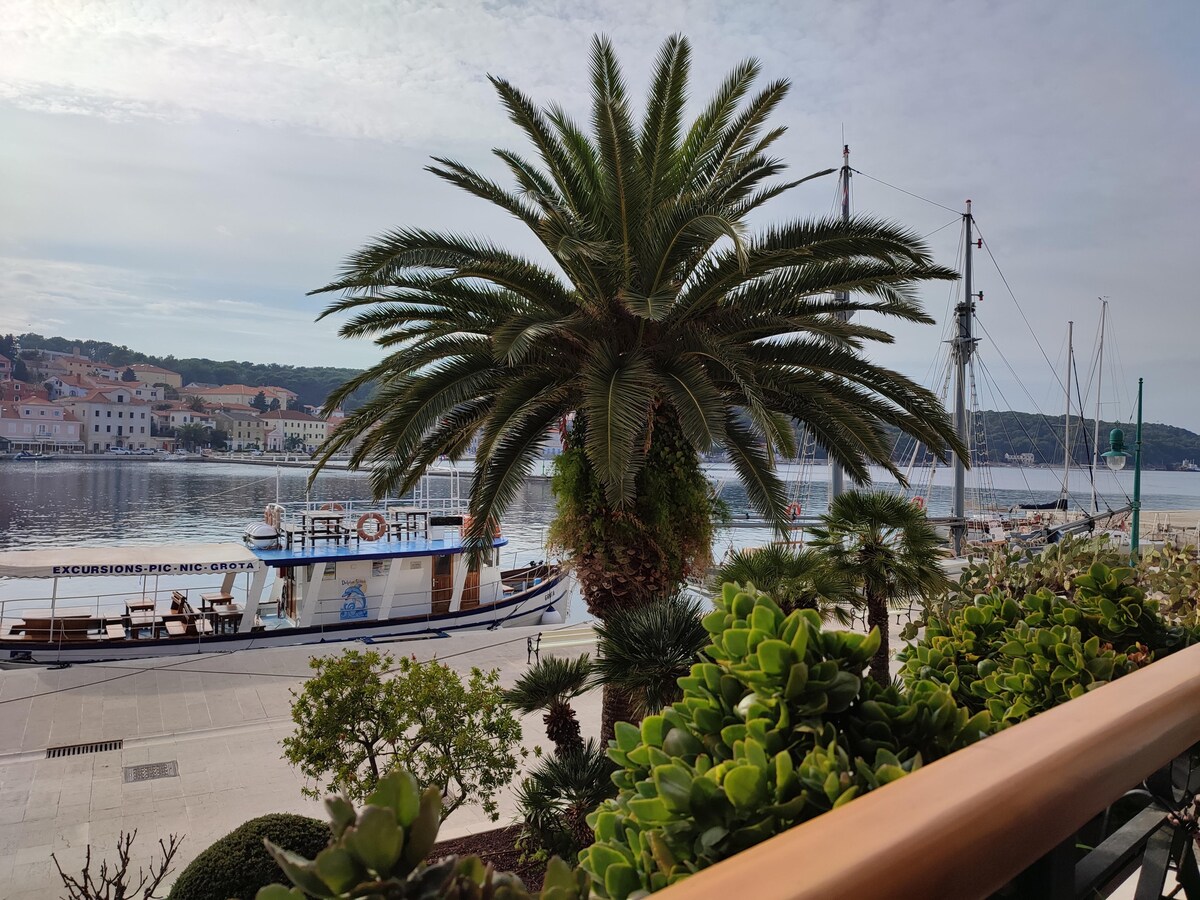 A view of a calm waterfront is framed by a large palm tree. A boat is docked nearby, with sailboats visible in the background. Lush greenery lines the boardwalk, complementing the serene atmosphere along the water's edge.