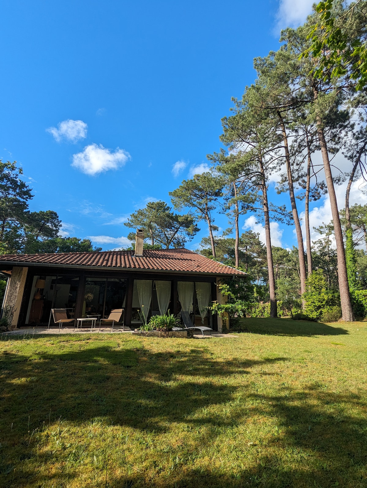 An inviting exterior view of the house reveals large glass doors leading to the garden. Tall pine trees provide shade, while an expansive green lawn offers space to relax. The clear blue sky creates a serene backdrop for this tranquil setting.
