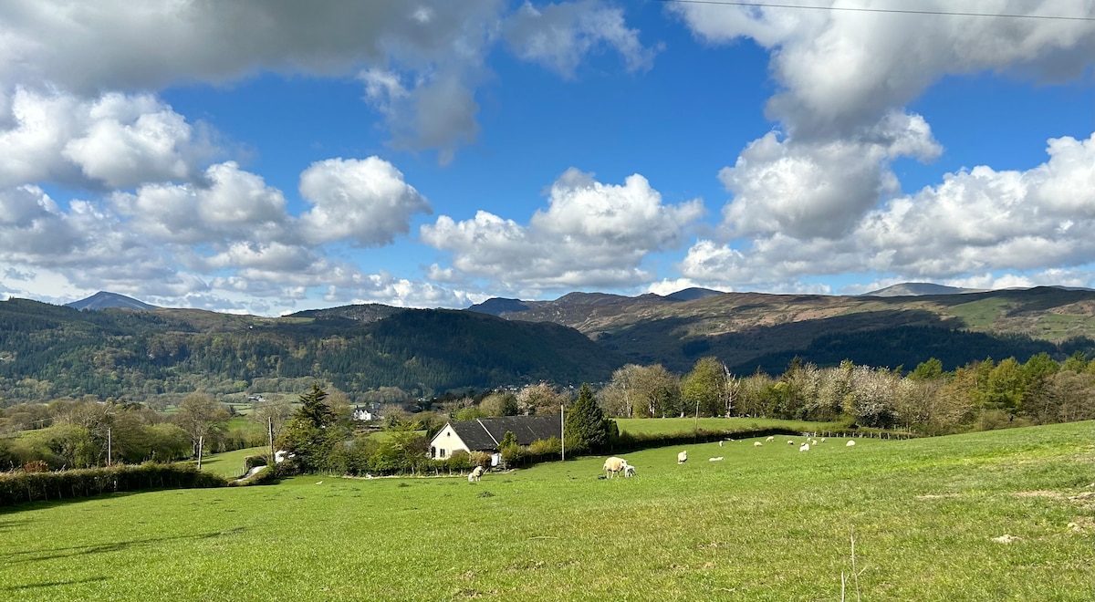 A scenic view captures a traditional house nestled amidst a lush green landscape. Rolling hills and distant mountains create a natural backdrop, while a field dotted with grazing sheep adds to the tranquil rural setting.