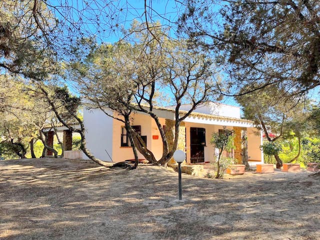 Antares Property & Hospitality managed Airbnb listing 3