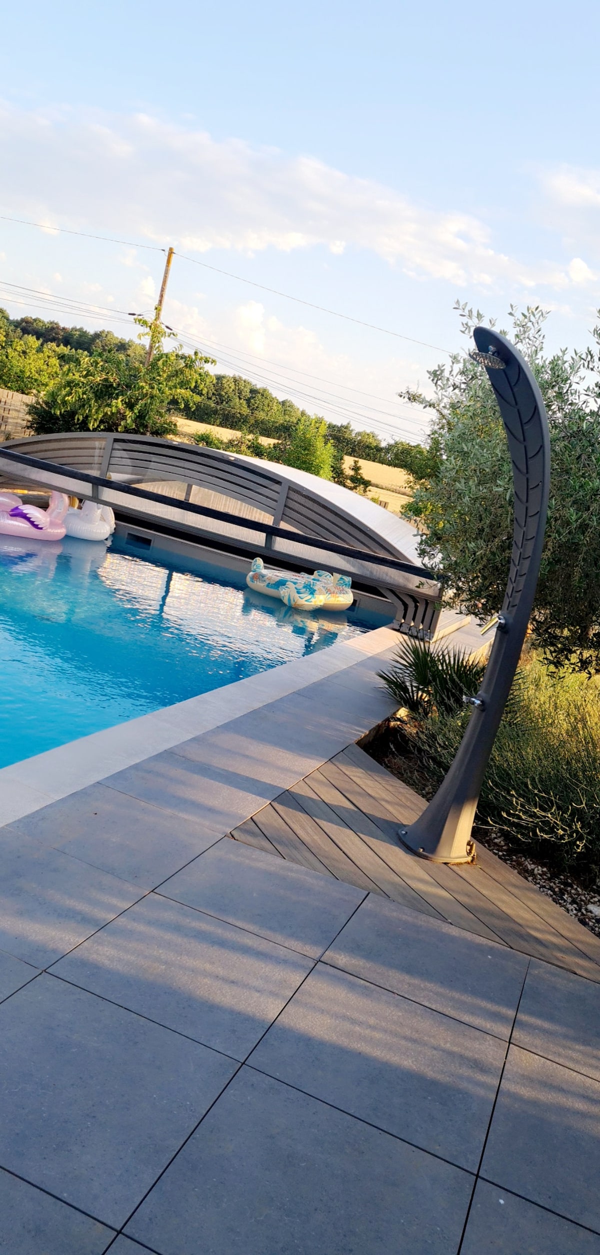 An outdoor swimming pool features a sleek, modern design with a curved wooden bridge crossing over. Colorful floats are seen resting in the water, while tropical plants frame the area, providing a serene ambiance. The clear sky and gentle lighting enhance the inviting setting.