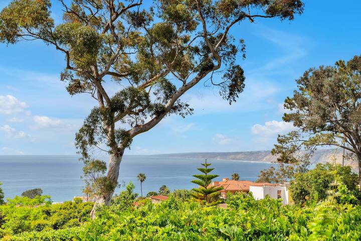 Luxury Ocean View Retreat gallery image 3