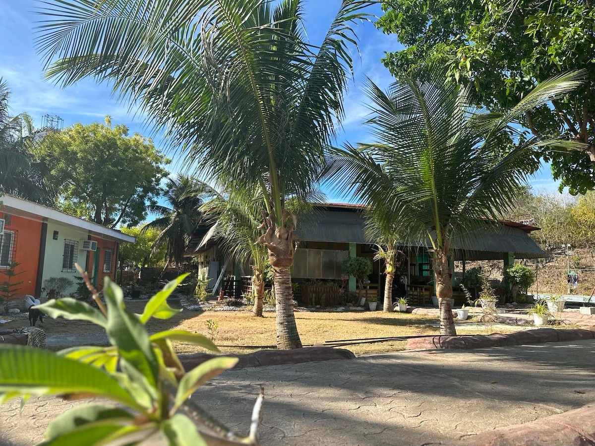 A serene garden setting is surrounded by tall palm trees, offering shade to the cozy wooden building in the background. The landscape features a well-manicured lawn and charming stone pathways that guide visitors through the lush greenery.