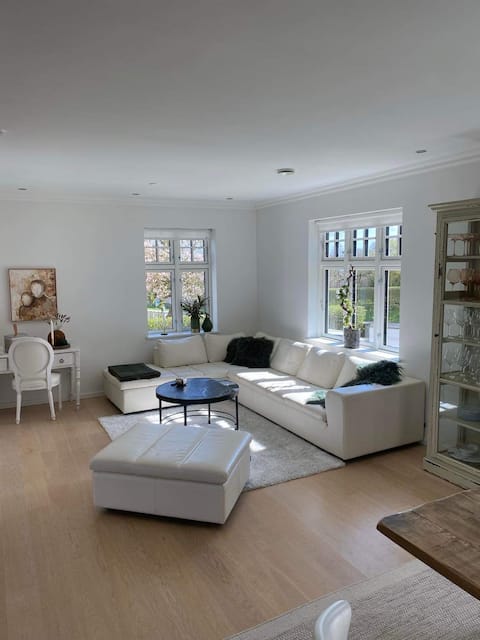 Popular Airbnb listing: Inviting brick master villa in Solbjerg