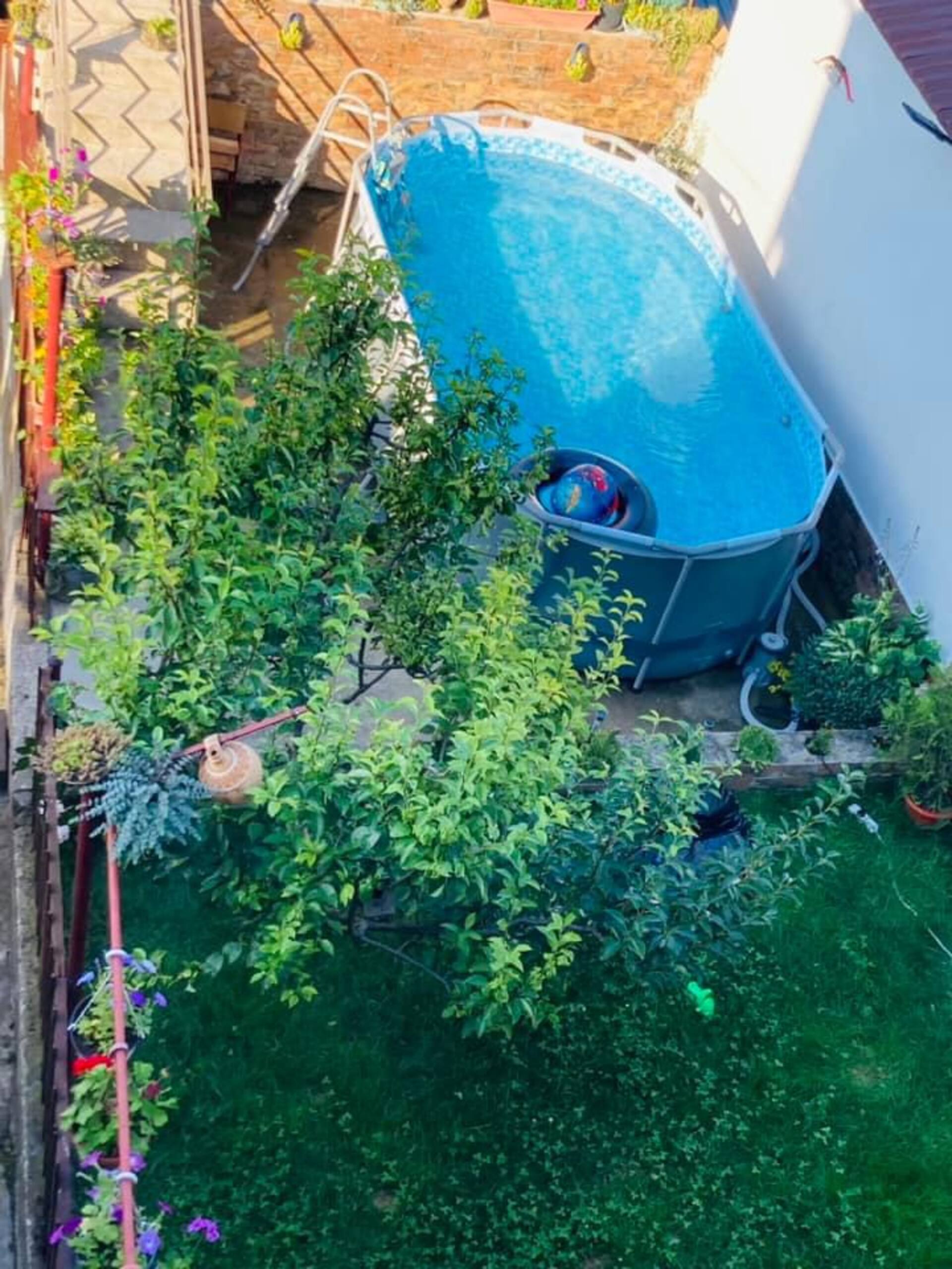 Casa Raul Orșova — zdjęcie 2