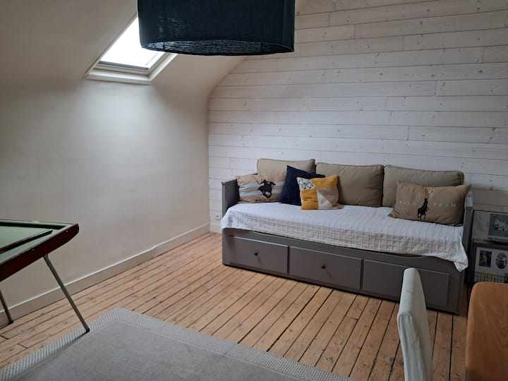 Rozkladacia pohovka (160×200). Izba slúži aj ako kancelária 