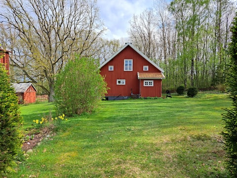 Cozy house with large garden