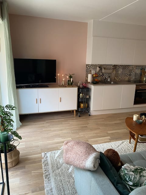 Top performing Airbnb: Cozy and new apartment. in Lørenskog