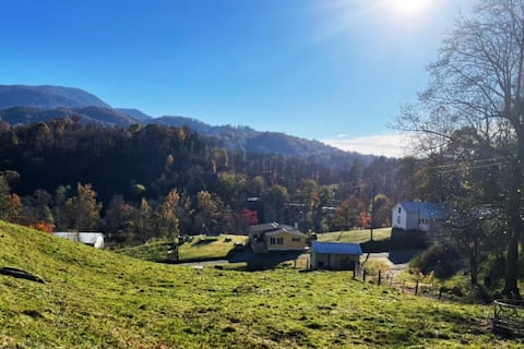 Bear Mountain Cabin with a view!