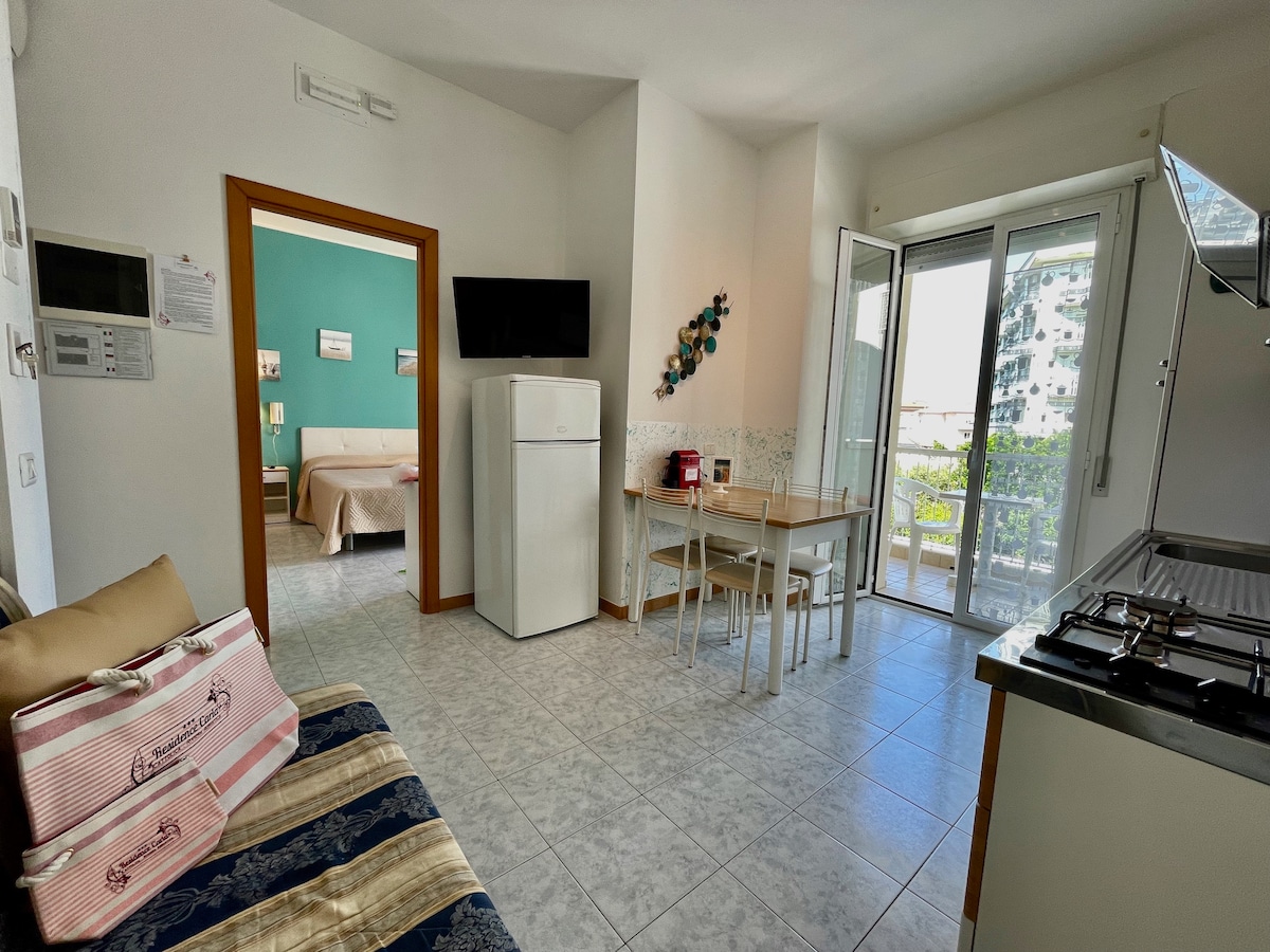 Successful Airbnb property: Two-room apartment in residence, in the center and 20 m from the sea in Cattolica
