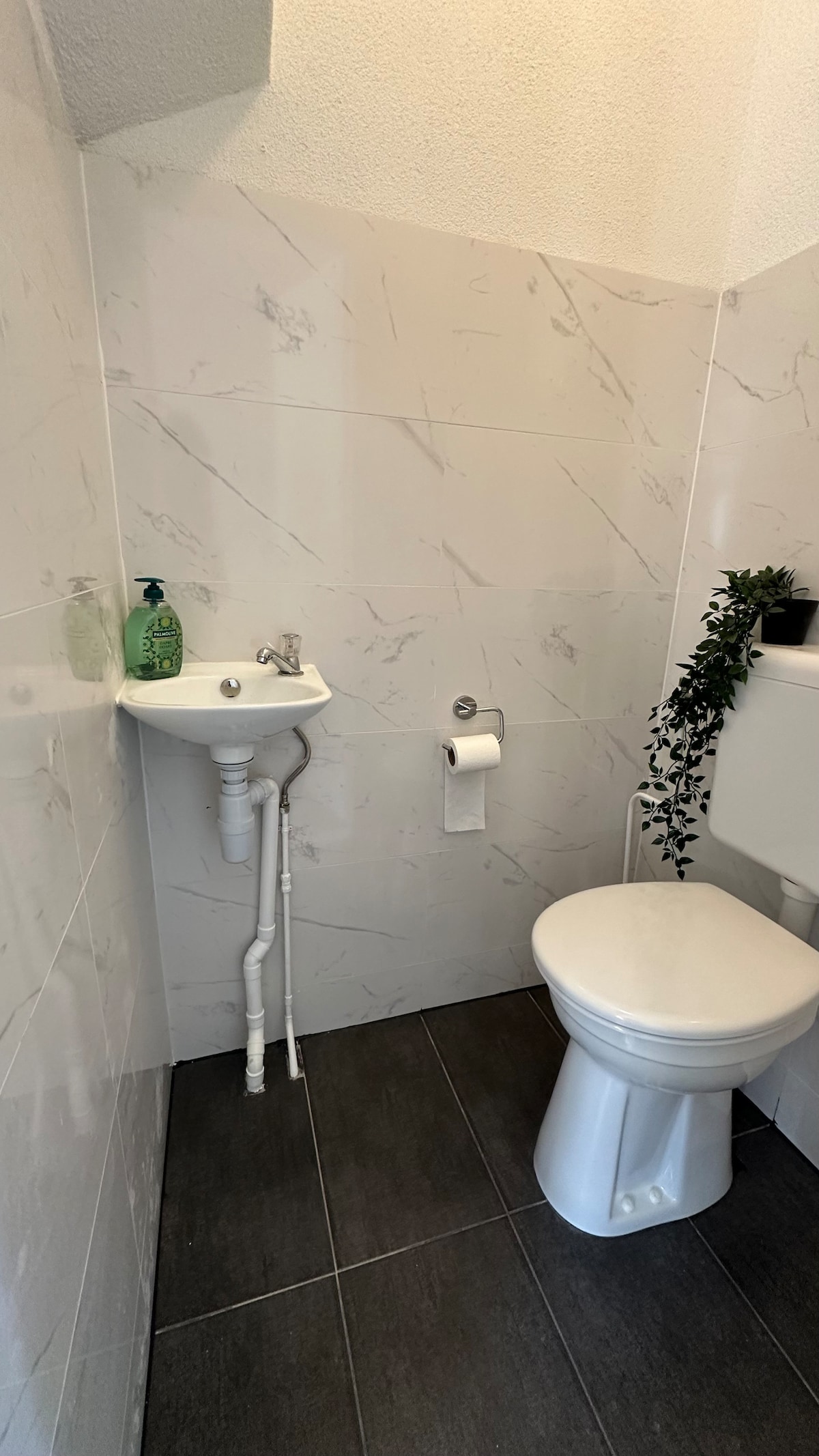 A compact bathroom space featuring modern fixtures. A white toilet is positioned alongside a small sink and a roll of toilet paper. Light marble wall tiles create a clean aesthetic, complemented by dark floor tiles. A small potted plant adds a touch of greenery.