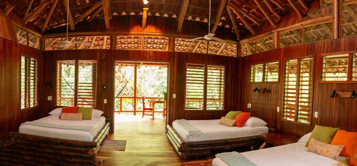 An open-format room is featured with three spacious beds arranged in a natural wood setting. Large windows with wooden shutters provide natural light, and a door leads to an outdoor patio area, enhancing the serene atmosphere of the jungle lodge.