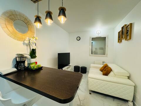 Apartment 20-25 min to La Défense