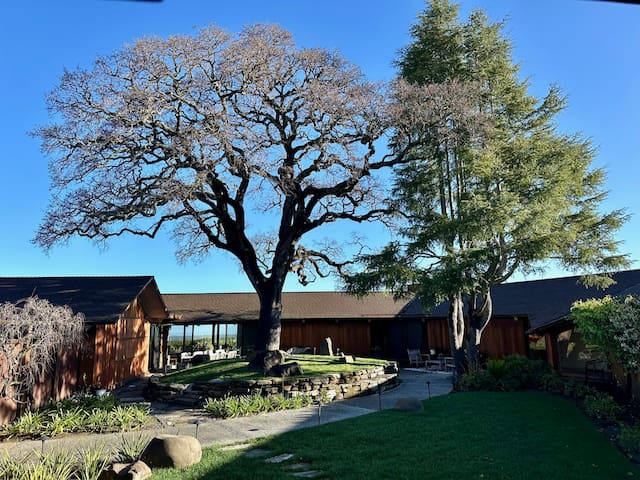 Best Views Mid-Century Gem 10m from Stanford