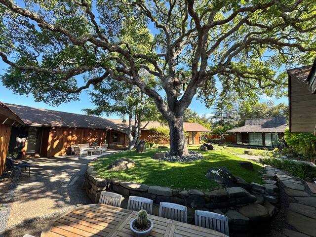 Mid-Century Gem Best Views 10m from Stanford gallery image 3