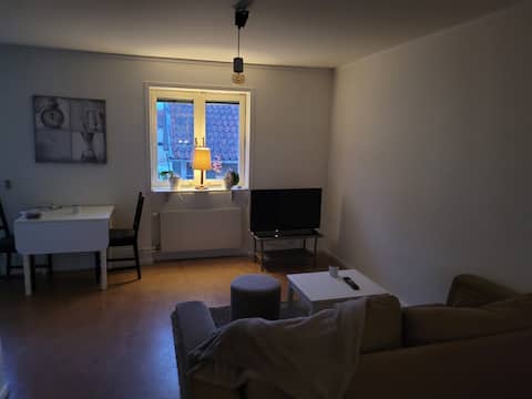 Cozy 1-room apartment right in the city center