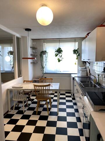 Central & Spacious Family Home gallery image 3