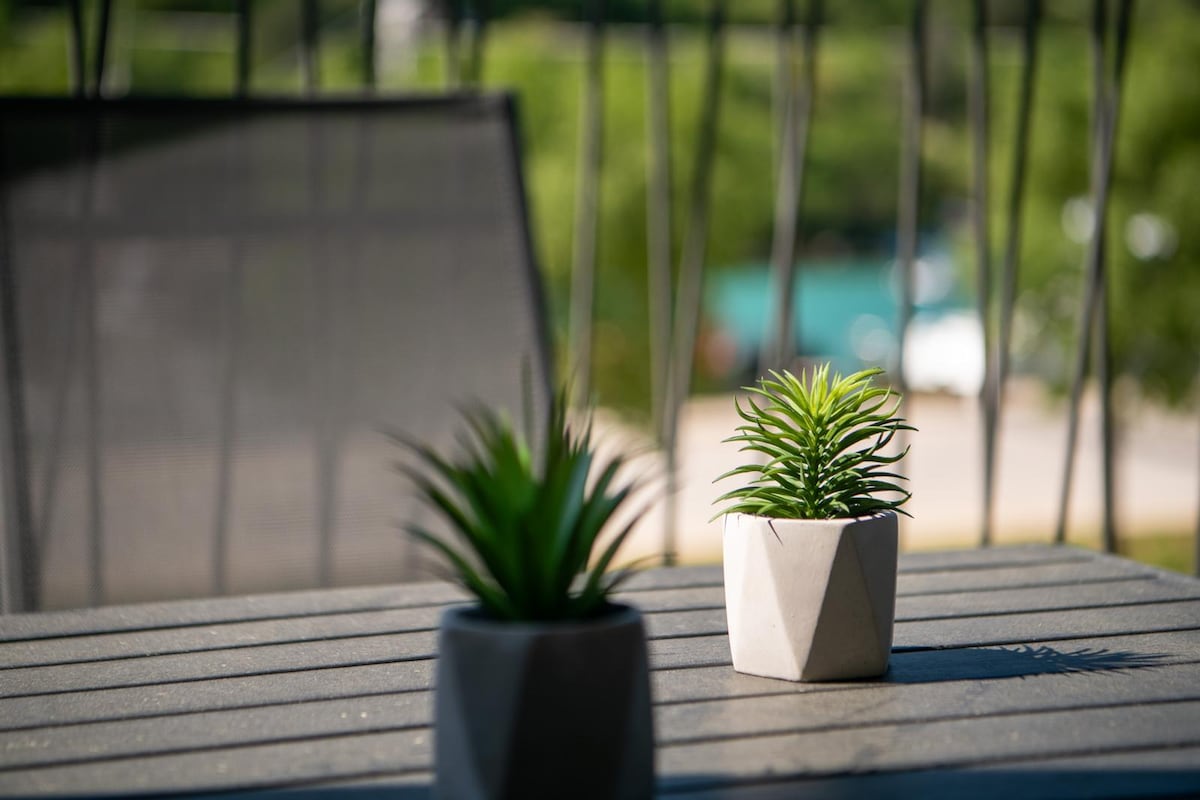 Two small potted plants are positioned on a textured gray table. A blurred view of greenery and a calm water scene is seen in the background, enhancing the outdoor ambiance.