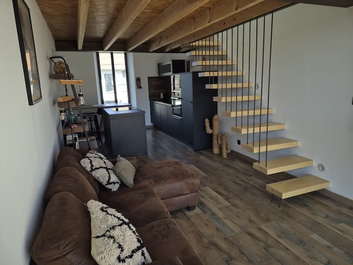 Appartement "La Cuverie" - ibis Styles Carcassonne La Cité