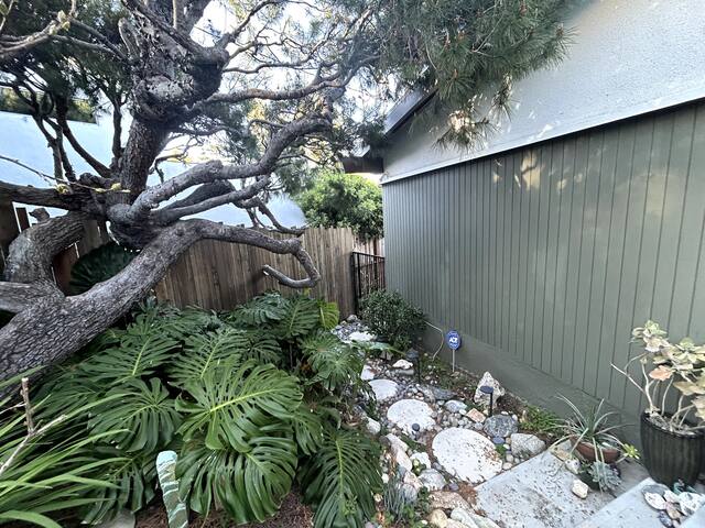 Mid-Century Mt Washington gallery image 4