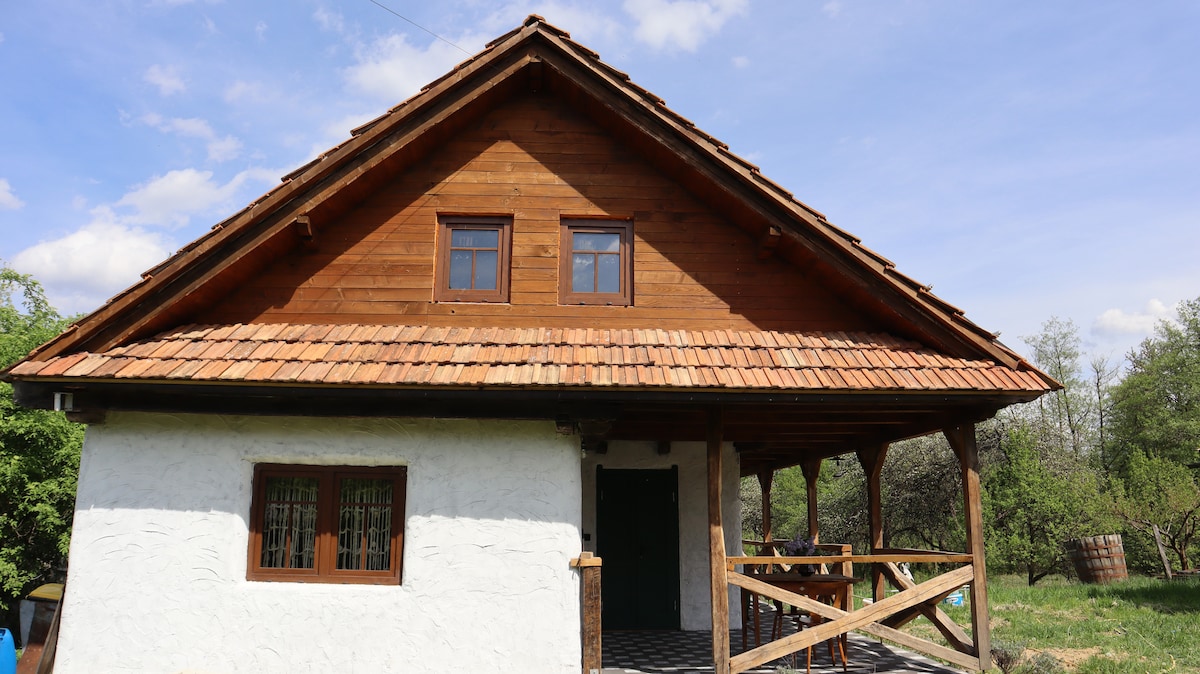 A traditional house showcases a wooden exterior with a sloped roof and a front porch supported by wooden beams. Large windows offer natural light and views of the surrounding greenery. The sturdy stone walls maintain a classic rural charm.