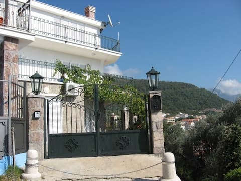 Villa with sea view