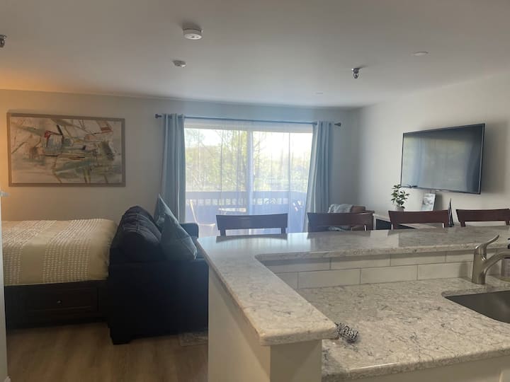Studio, Concerts, Pool, Close To Everything! - Gilford, NH