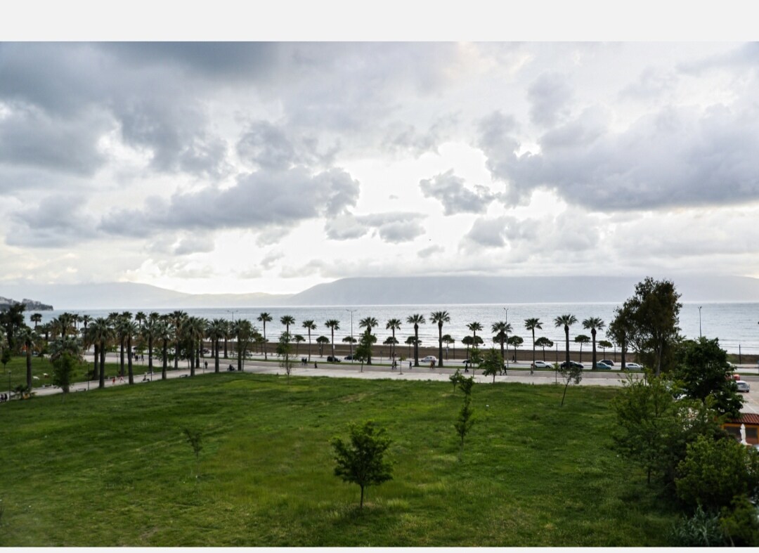 Listing 1152312364685094750