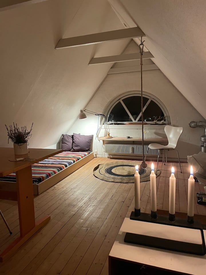 Podkrovná izba má prístup cez strmé podkrovné schodisko/usadlosť. 