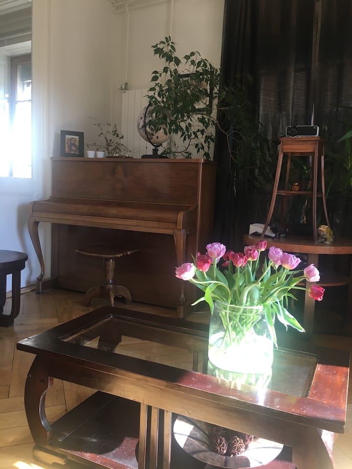 Chambre,très Bien Située. - Saint-Julien-en-Genevois
