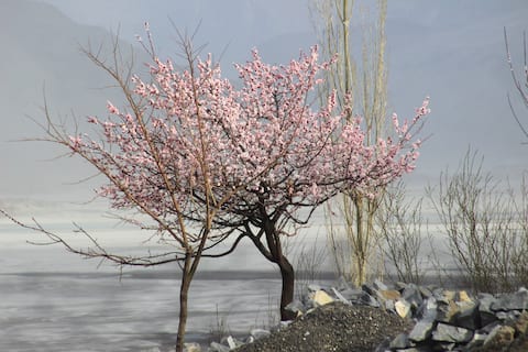 Yulgo Guest House kachura